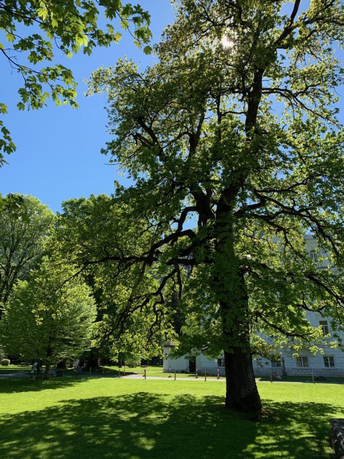 Schlosspark Grubhof - Mitterer Sankt Martin bei Lofer Exterior foto