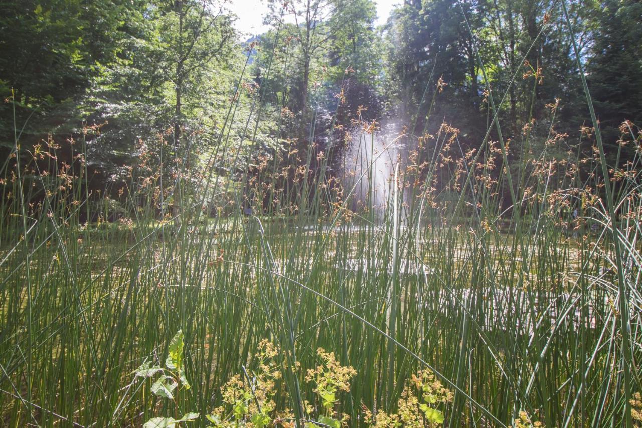 Schlosspark Grubhof - Mitterer Sankt Martin bei Lofer Exterior foto